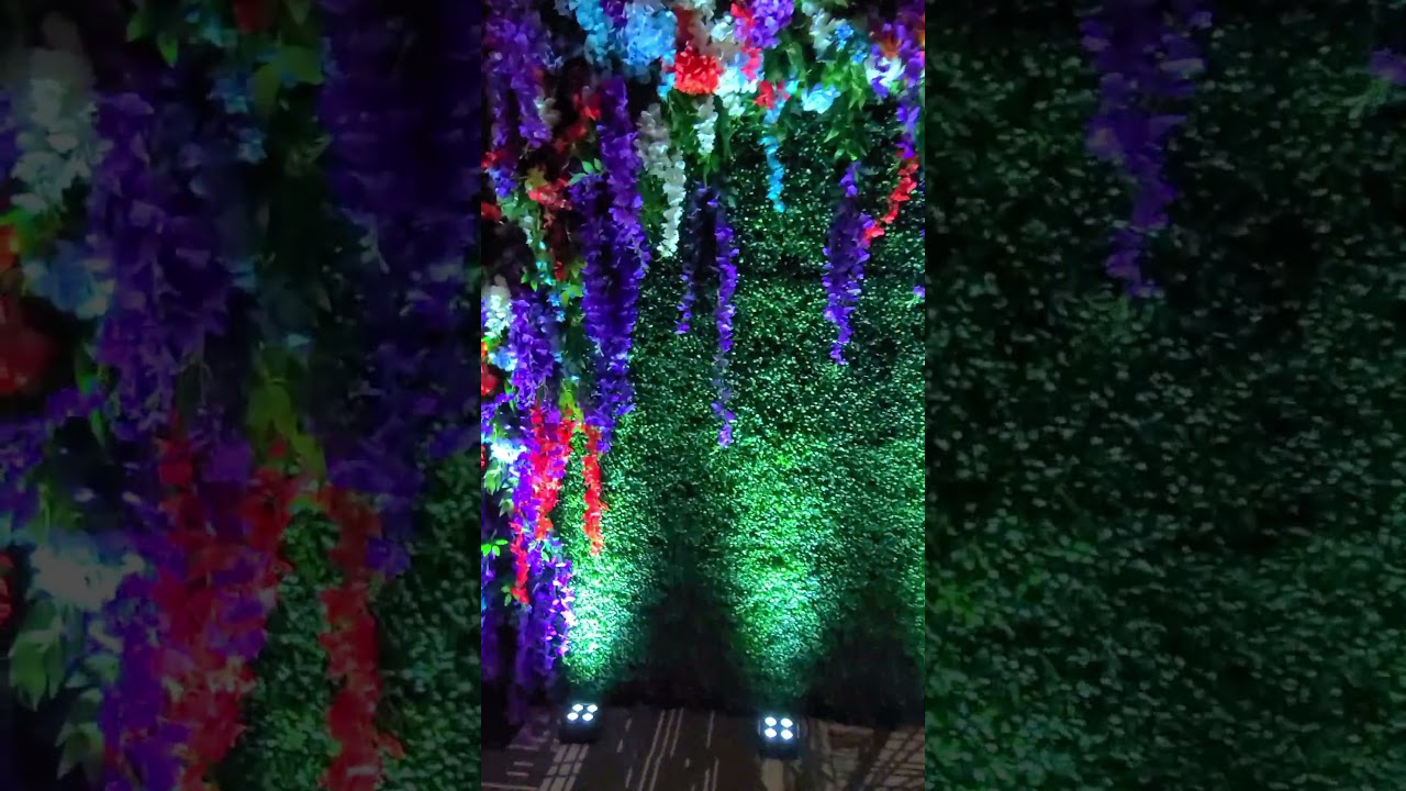 BHS PROM 2025 Highlights | Yellow Shoes Event Rentals – Marquee Letters, Hedge Wall & Photo Booth