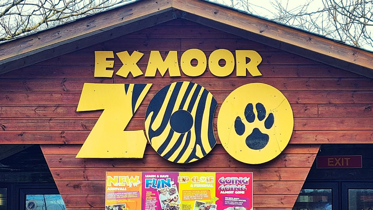 Exmoor Zoo Vlog