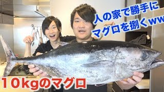 人の家で勝手に10kgのマグロさばいたら新しい発見があったwwww