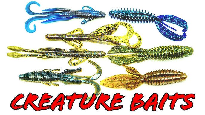 Best Worms and Creature Baits For Bass Fishing - Buyer's Guide 