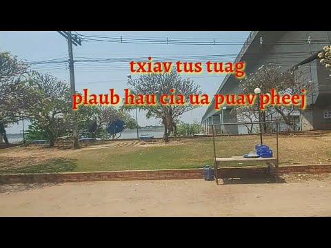 Video: 3 Txoj Hauv Kev Los Txiav Plaub Hau Plaub Hau