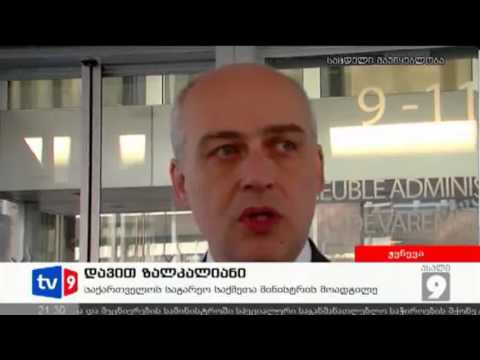 ახალი 9 | დელეგაცია ჟენევაში | 27.03.13