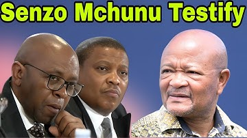 Senzo Mchunu Testifies at Madlanga Commission of Inquiry