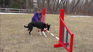 How to teach: Offering a Jump