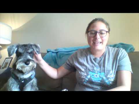 How to stop Miniature Schnauzer Puppy Barking