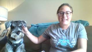 How to stop Miniature Schnauzer Puppy Barking