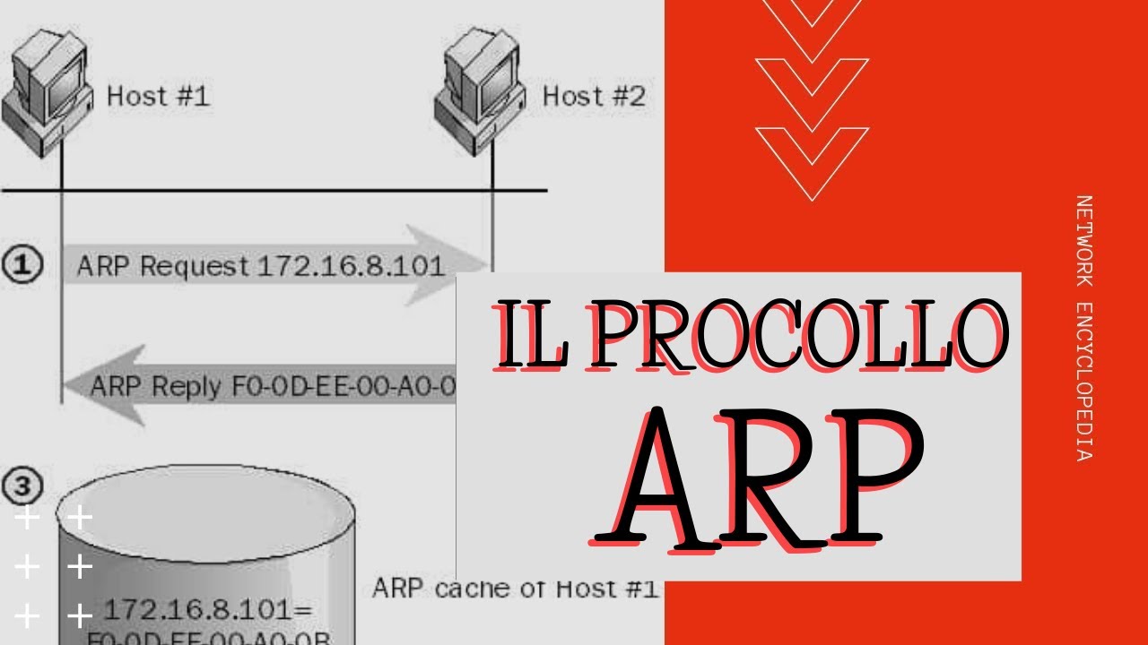 Il Protocollo ARP [LEZIONE N#45 - CORSO DI ETHICAL HACKING] - YouTube