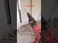 @ AR Electrician,,,,