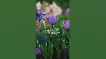 #القرآن_الكريم #تلاوة_خاشعة 💙🎧سورةالكف القارئ  عبد الباري الثبيتي