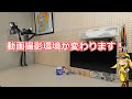 【告知】動画撮影環境が変わります！【DIY？】