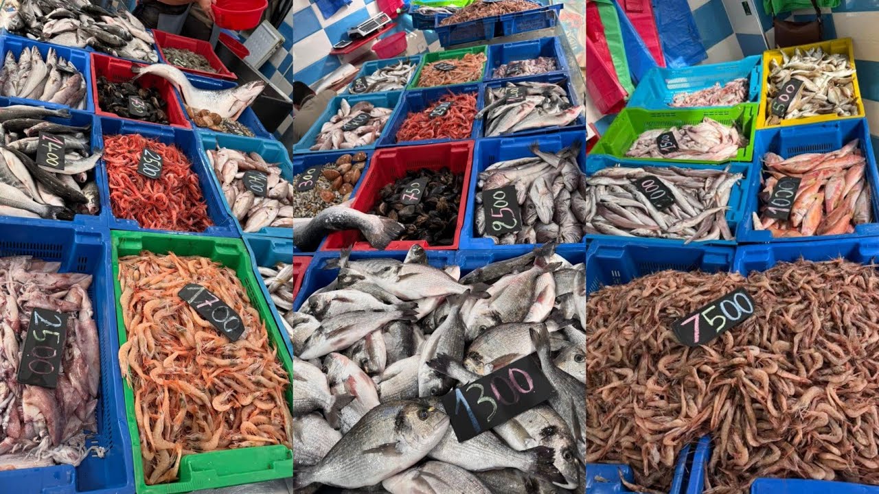 اسعار السمك اليوم في الجزائر \سوق السمك ميناء زموري مسمكة خوجة  الجزائر 