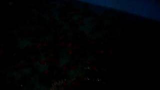 SDC10725.AVI