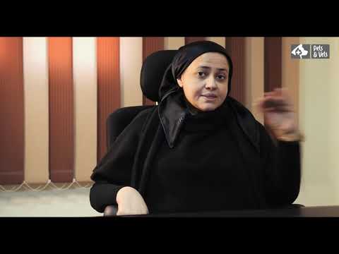 فيديو: الطب الشمولي وكيف يمكن أن يساعد حيوانك الأليف