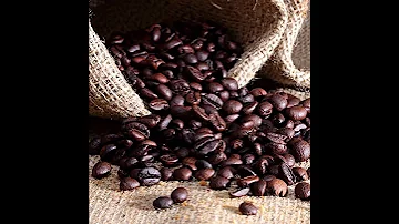 Kaffa Coffee Ethiopia Gedeb 