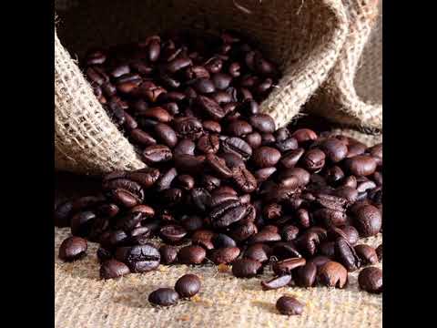 Kaffa Coffee Ethiopia Gedeb