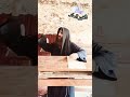 سيرة القديس الأنبا مكاريوس السكندرى لابونا فيلوباتير الأنبا مكاريوس السكندرى 