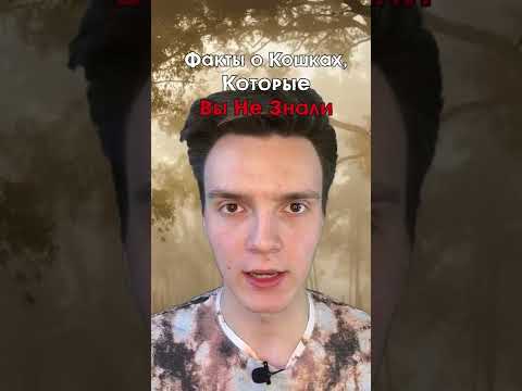 Факты о кошках, которые Вам не расскажут..