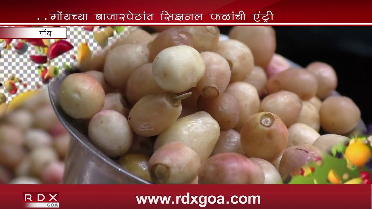 GOAN SEASONAL FRUIT MAKE ENTRY IN GOAN MARKETS - YouTube