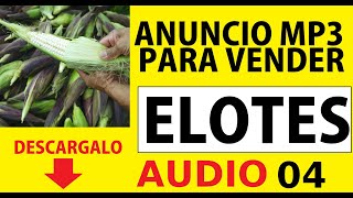 contactanos 🟢Whatsapp +52 753 139 87 56  VENDER ELOTES