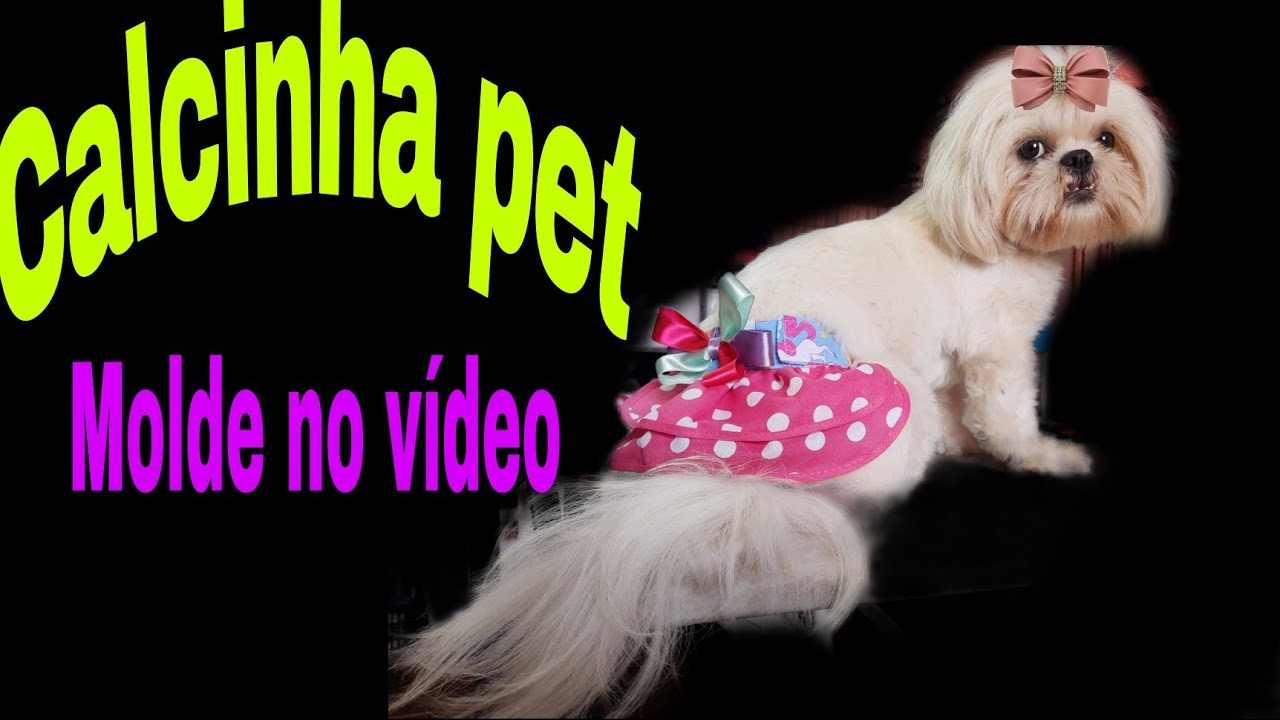 CALCINHA PET/ SUPER FÁCIL DE FAZER/ MOLDE NO VÍDEO.