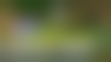 How To Download Comforts Mod 1.16.4/1.15.2/1.12.2 & Install for Minecraft