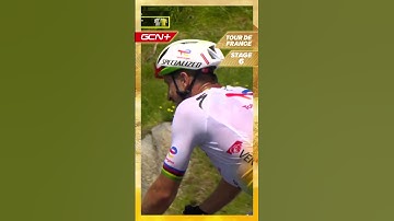 Peter Sagan surveys the damage!