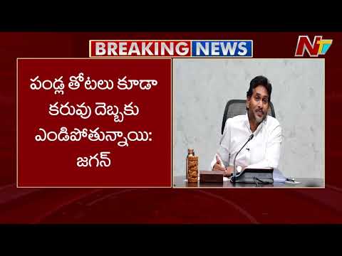 YS Jagan Holds Key Meeting with Senior Party Leaders | NTV Telugu - NTVTELUGU