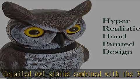 Dalen Fake Owl Decoy to Scare Birds Away from Gardens, Rooftops, and Patios - Scarecrow Provides Ch