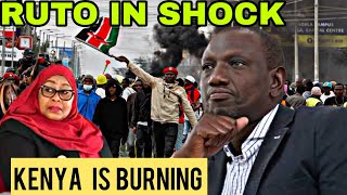ANGRIL KENYANS PROTEST IN NAIROBI AFTER RUTO CONGRATULATED SAMIA SULUHU-KENYA IN FIRE🔥 