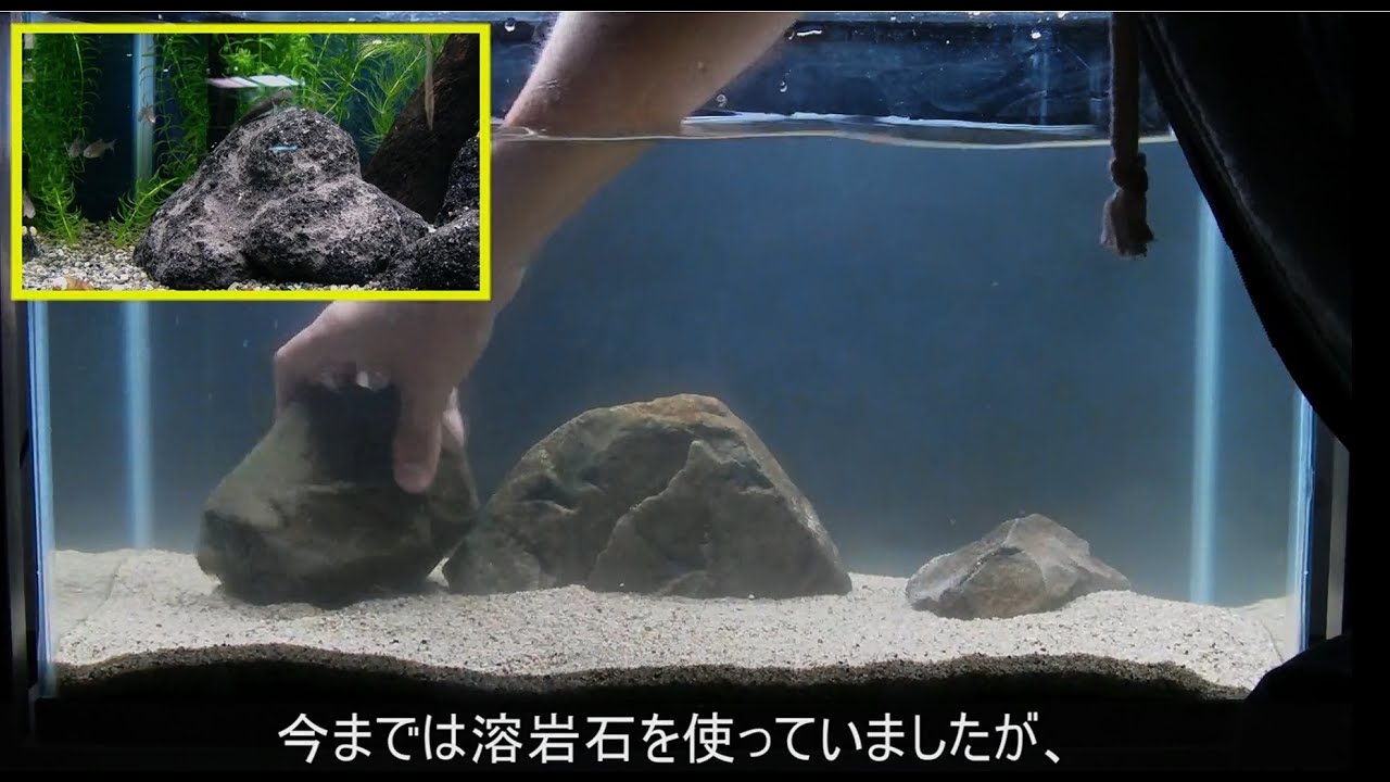 日淡水槽 ⑥リセット - YouTube