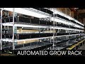 Bootstrap Farmer Automated Grow Rack