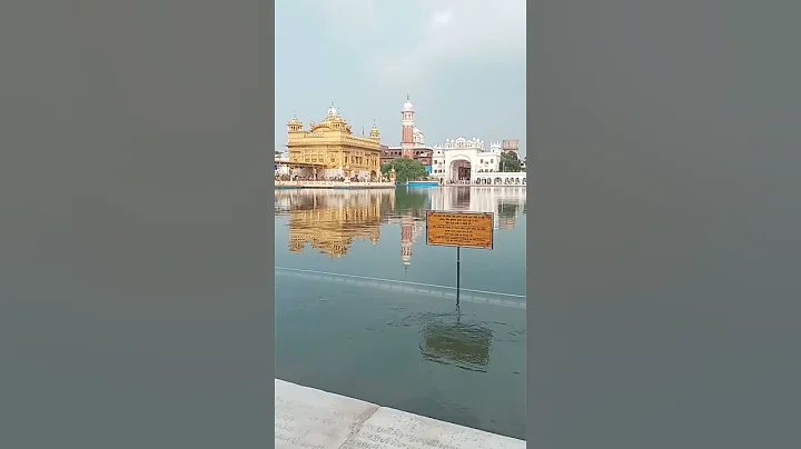 Templo dorado, India. #goldentemple #amritsar #pun...