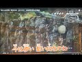 【新曲】おんなの峠/岩本公水/byhisaogotoh/2024年1月10日発売