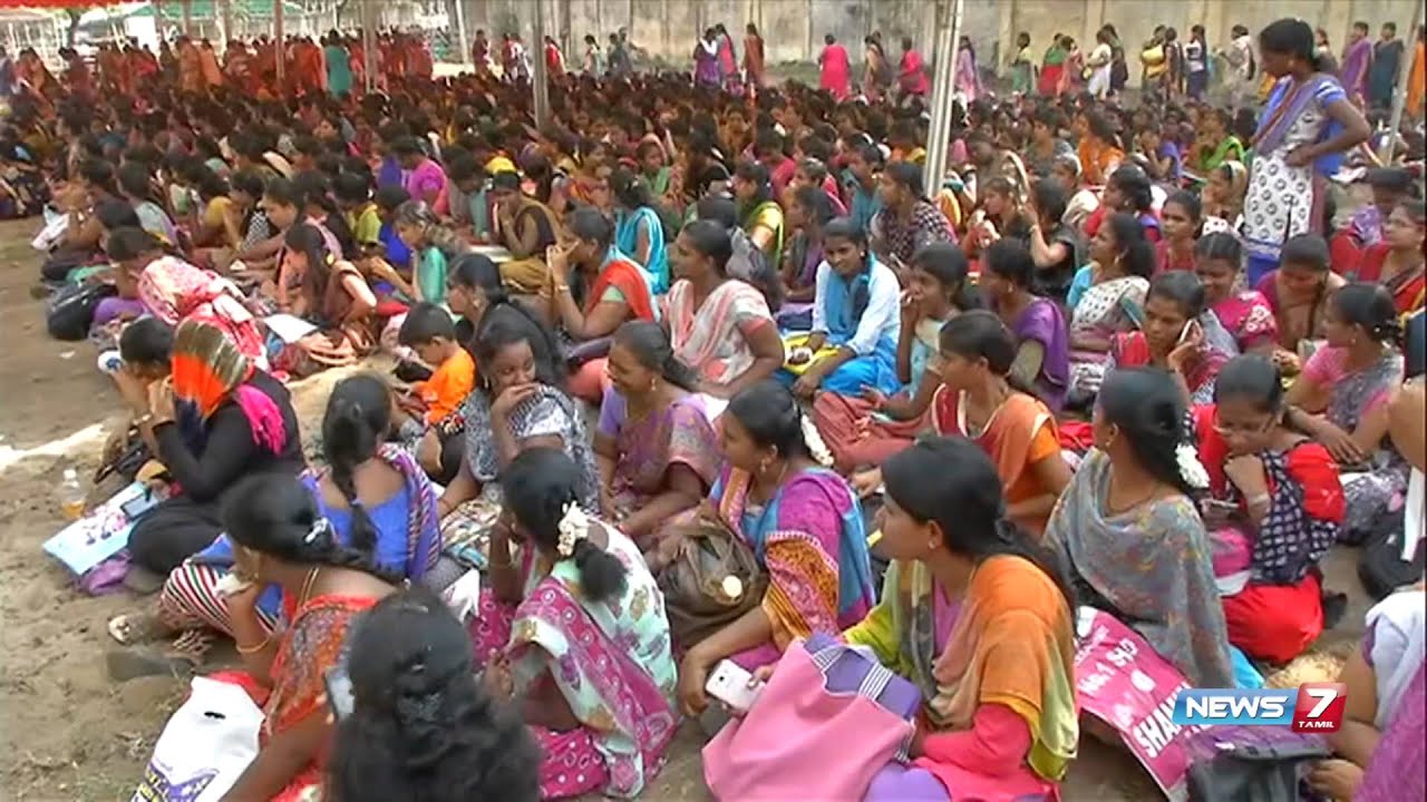 Special job fair at Chennai Tamil Nadu News7 Tamil YouTube