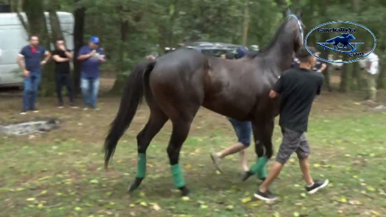 J  C  de Santo Augusto   GP João A  Kondra   Apresentação