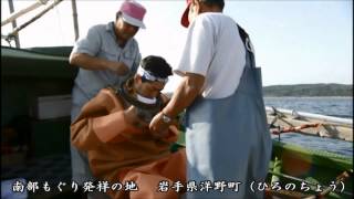 南部ダイバーの歌
