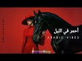 أحمر في الليل    8    2026 007