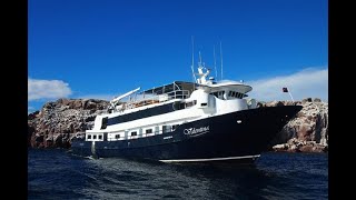 MV Valentina - Mexico Liveaboard