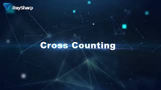 AI function: Cross Counting