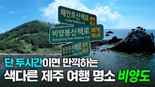 두시간이면 충분하다! 🕑 알찬 섬속의섬 여행 명소 비양도🏝 l JEC