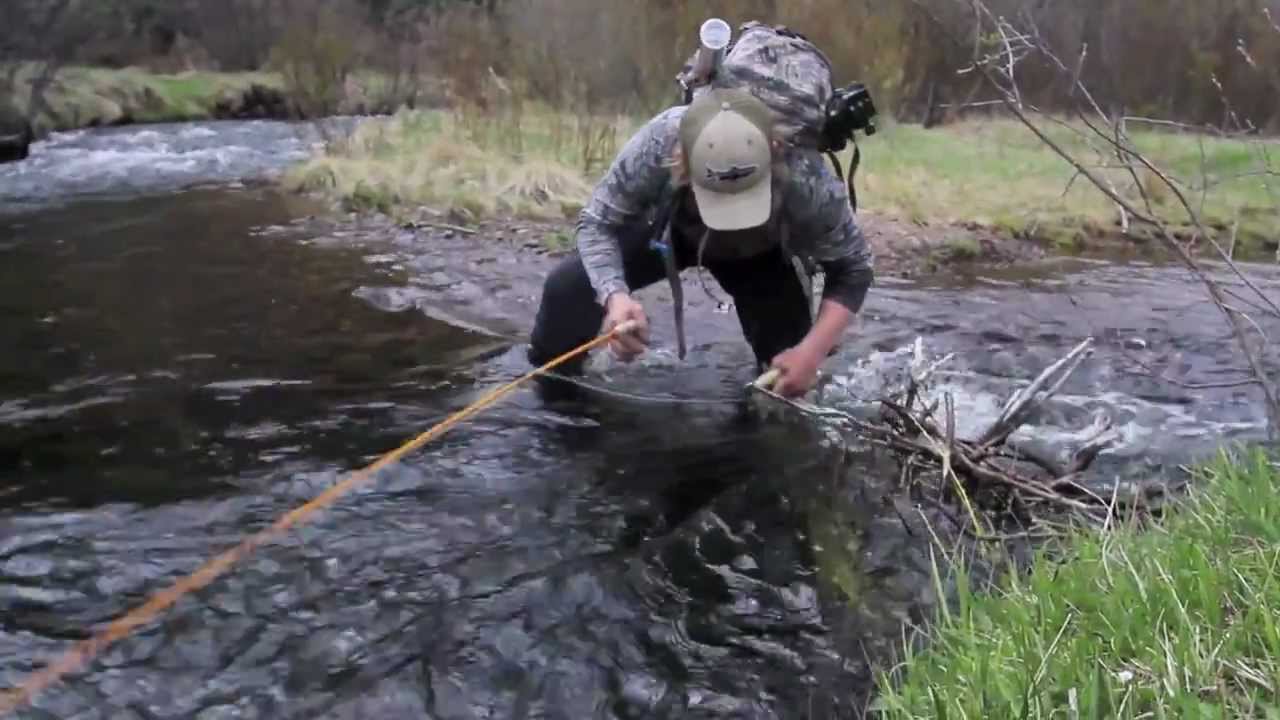 Nunya Dam Fishing (Colorado) YouTube