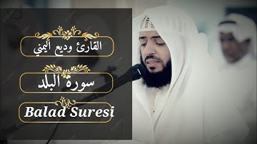 الشيخ وديع اليمني سورة البلد تلاوة رائعة Suresi Balad Şeyh Wadih Al-Yamani #تلاوة #وديع اليمني