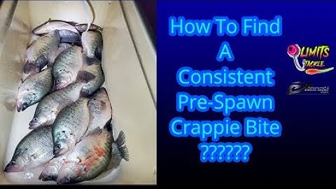 Crappie Fishing During Pre Spawn | Spring Crappie Fishing Secrets