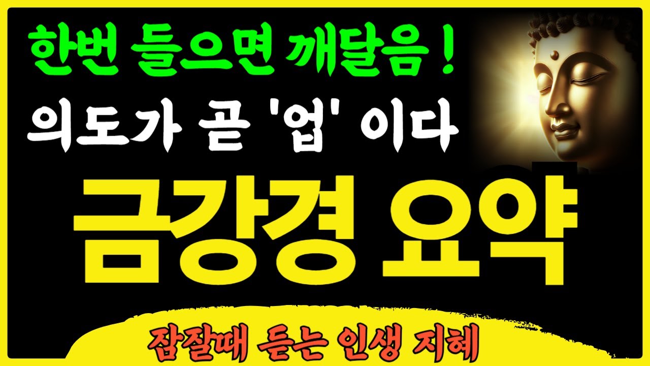 의도가 곧 '업'이다 금강경 해석 (3시간순삭) 요약 | 불교명언 | Meditation Mindfulness Buddha | 전문 사구게 뜻 원본