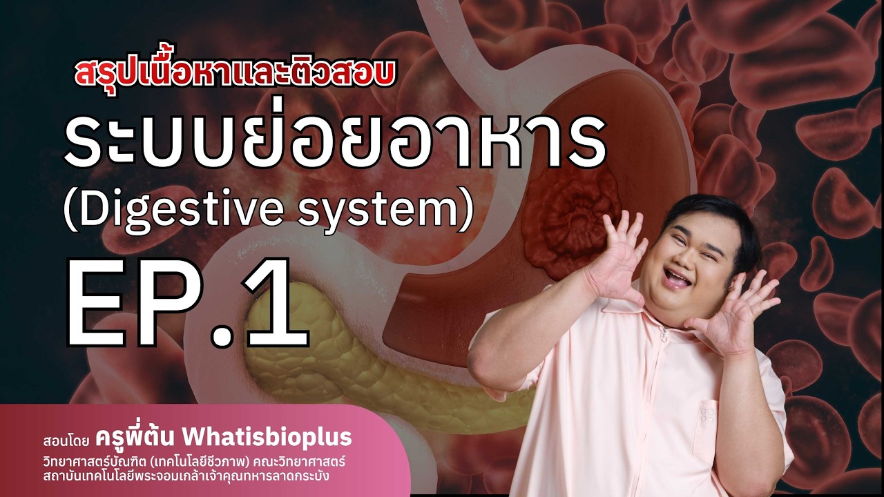 ระบบย่อยอาหาร (Digestive system) Part I | ครูพี่ต้น (Whatisbioplus)