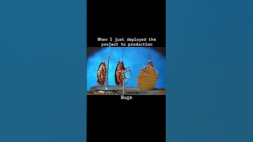 Developer with bugs  memes #coding #programmer #funny #funnymemes #memecoding #codinglife #shorts