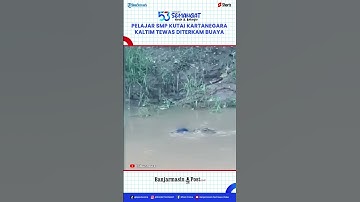 Seram! Detik-detik Pelajar SMP Kutai Kartanegara Kaltim Tewas Diterkam Buaya saat Memancing Disungai