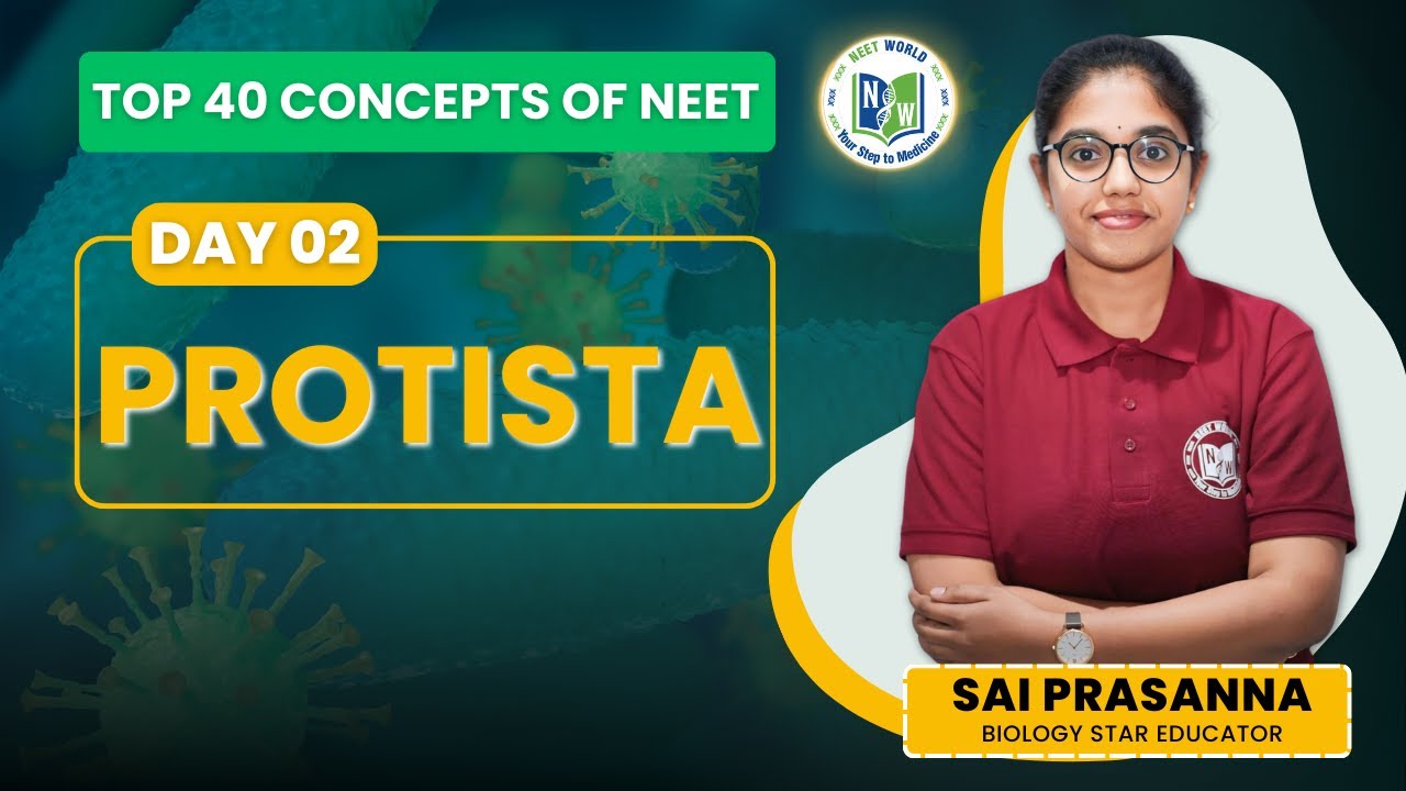 Protista Explained in 10 Minutes – Must-Watch for #neet - YouTube