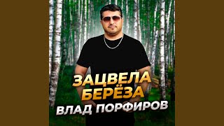 Зацвела берёза