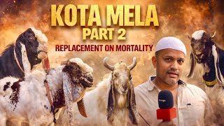 Kota Mela Part 2 at Exotic Goat Farm | Replacement on Mortality